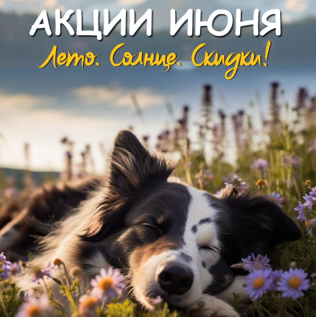 Лето! Солнце! Скидки в «Доктор Вет»!